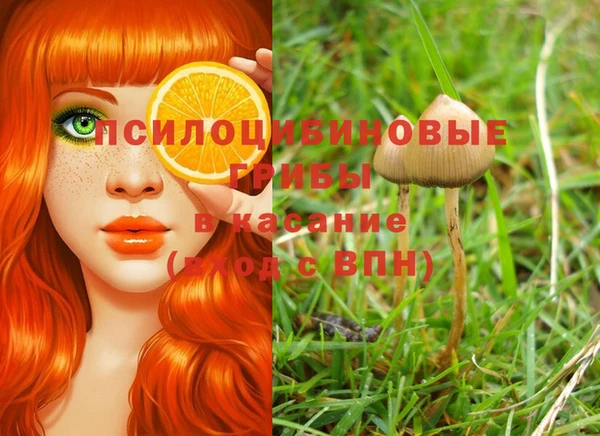Альфа ПВП Волоколамск