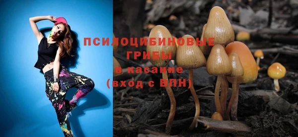Альфа ПВП Волоколамск