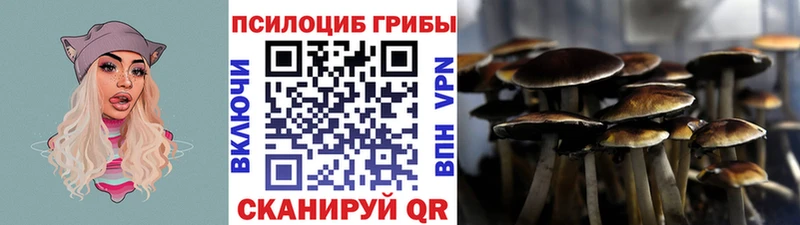 hydra маркетплейс Зеленоградск Галлюциногенные грибы прущие грибы